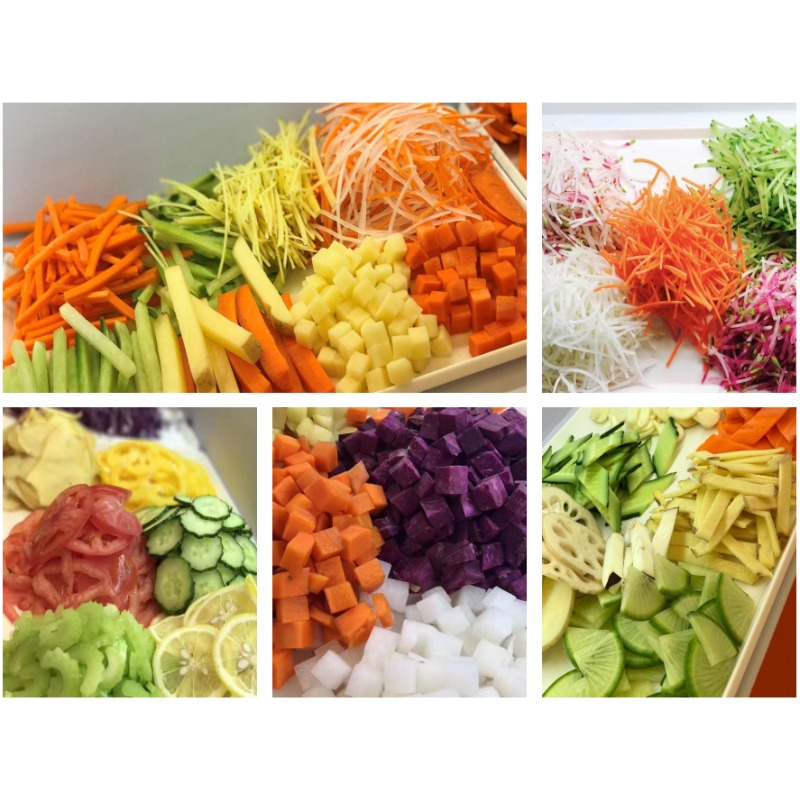 Automatic Small Vegetable Grin - Vegetable Chopper review and price